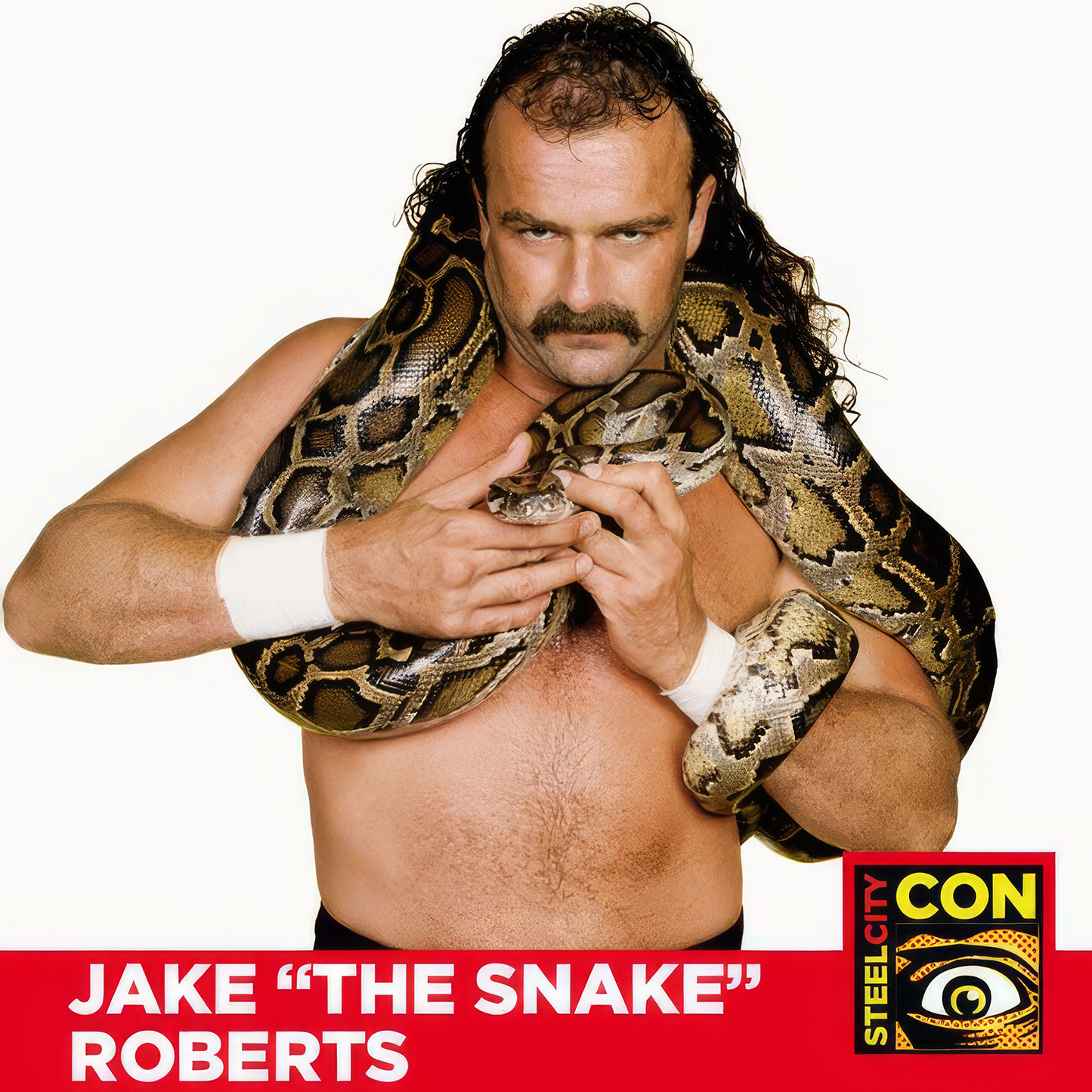 JAKE ROBERTS AUTOGRAPH PRE-ORDER